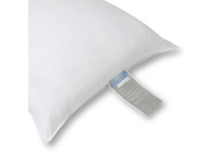 Platinum 26 oz. Standard Pillow