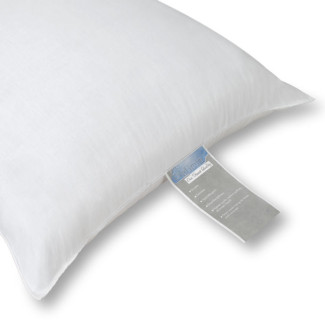 Platinum 31 oz. Queen Pillow