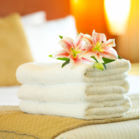 Imported Hotel Towels